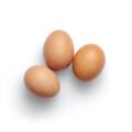 eggs