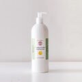 Home sanitizer